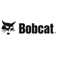 Bobcat